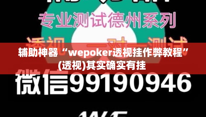 辅助神器“wepoker透视挂作弊教程”(透视)其实确实有挂 