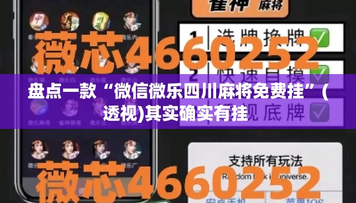 盘点一款“微信微乐四川麻将免费挂”(透视)其实确实有挂 