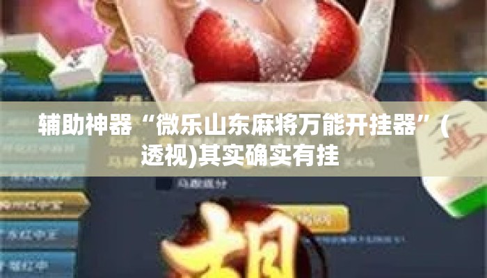辅助神器“微乐山东麻将万能开挂器	”(透视)其实确实有挂 