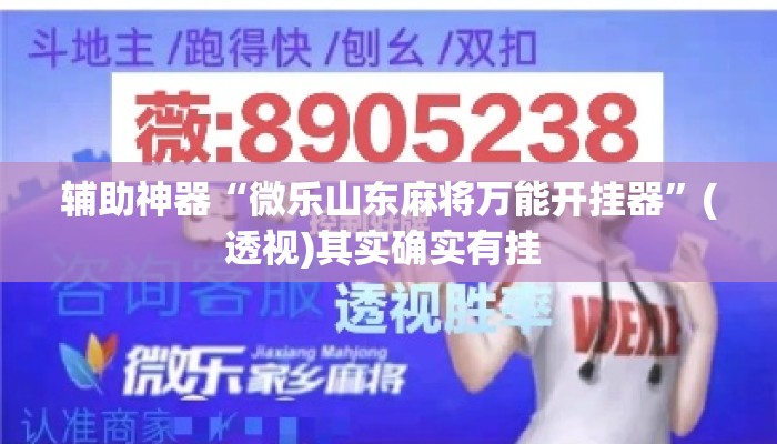 辅助神器“微乐山东麻将万能开挂器”(透视)其实确实有挂 