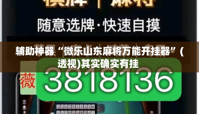 辅助神器“微乐山东麻将万能开挂器	”(透视)其实确实有挂 