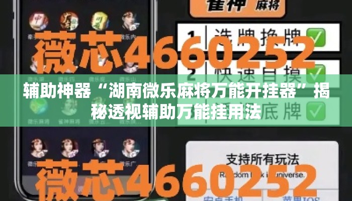 辅助神器“湖南微乐麻将万能开挂器”揭秘透视辅助万能挂用法