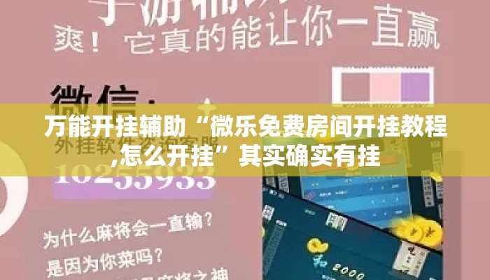 万能开挂辅助“微乐免费房间开挂教程,怎么开挂”其实确实有挂