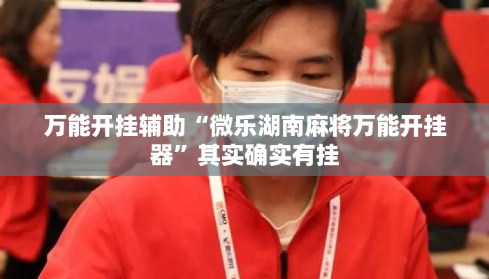 万能开挂辅助“微乐湖南麻将万能开挂器”其实确实有挂
