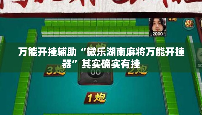 万能开挂辅助“微乐湖南麻将万能开挂器	”其实确实有挂