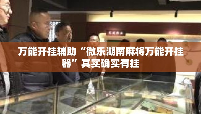 万能开挂辅助“微乐湖南麻将万能开挂器”其实确实有挂