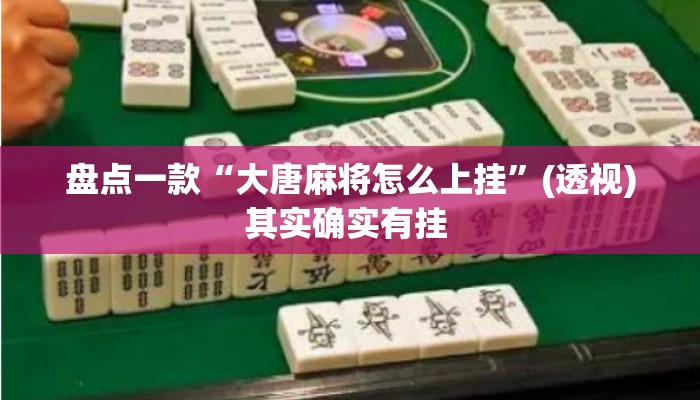 盘点一款“大唐麻将怎么上挂”(透视)其实确实有挂 