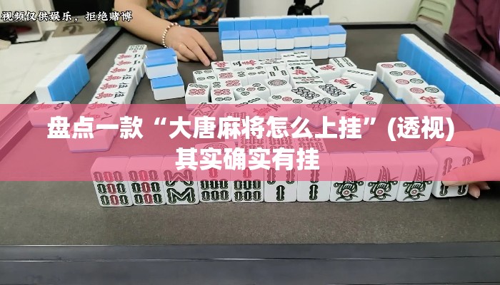 盘点一款“大唐麻将怎么上挂”(透视)其实确实有挂 