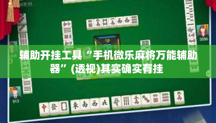 辅助开挂工具“手机微乐麻将万能辅助器”(透视)其实确实有挂 