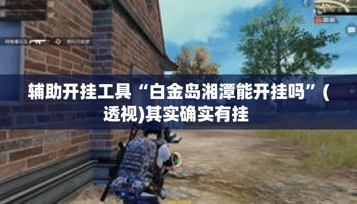 辅助开挂工具“白金岛湘潭能开挂吗”(透视)其实确实有挂 