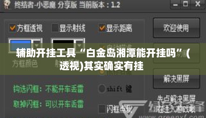 辅助开挂工具“白金岛湘潭能开挂吗”(透视)其实确实有挂 