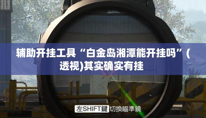 辅助开挂工具“白金岛湘潭能开挂吗”(透视)其实确实有挂 