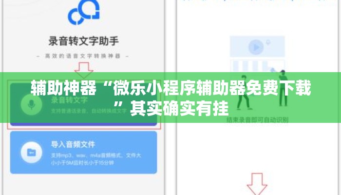 辅助神器“微乐小程序辅助器免费下载”其实确实有挂