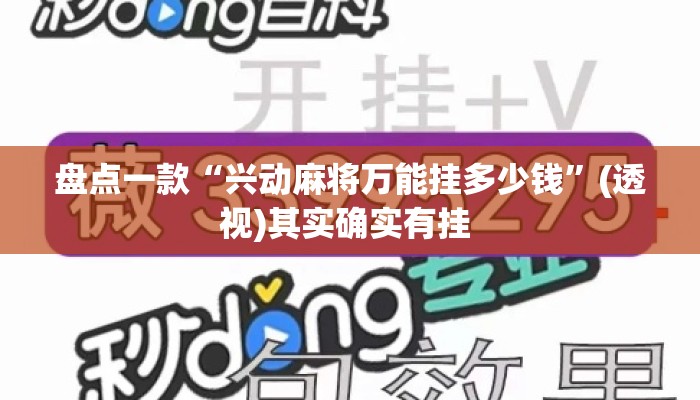 盘点一款“兴动麻将万能挂多少钱”(透视)其实确实有挂 