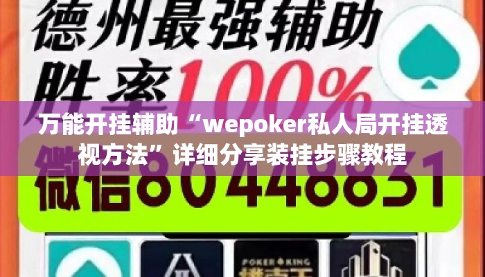 万能开挂辅助“wepoker私人局开挂透视方法”详细分享装挂步骤教程