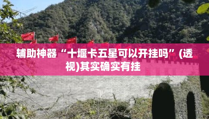 辅助神器“十堰卡五星可以开挂吗	”(透视)其实确实有挂 