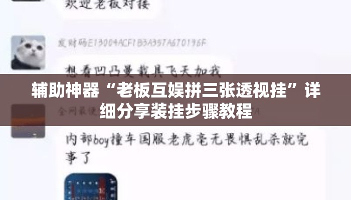 辅助神器“老板互娱拼三张透视挂	”详细分享装挂步骤教程