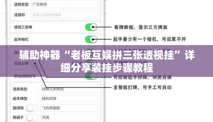 辅助神器“老板互娱拼三张透视挂”详细分享装挂步骤教程