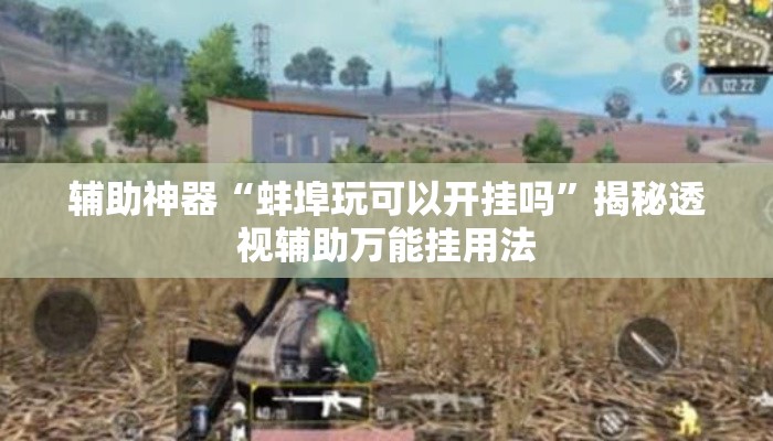 辅助神器“蚌埠玩可以开挂吗”揭秘透视辅助万能挂用法