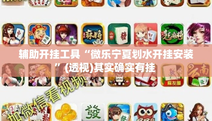 辅助开挂工具“微乐宁夏划水开挂安装	”(透视)其实确实有挂 