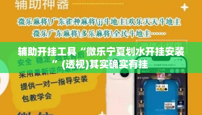 辅助开挂工具“微乐宁夏划水开挂安装”(透视)其实确实有挂 