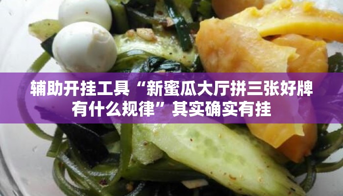 辅助开挂工具“新蜜瓜大厅拼三张好牌有什么规律	”其实确实有挂