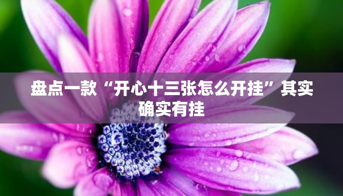 盘点一款“开心十三张怎么开挂	”其实确实有挂