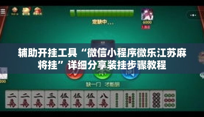 辅助开挂工具“微信小程序微乐江苏麻将挂”详细分享装挂步骤教程