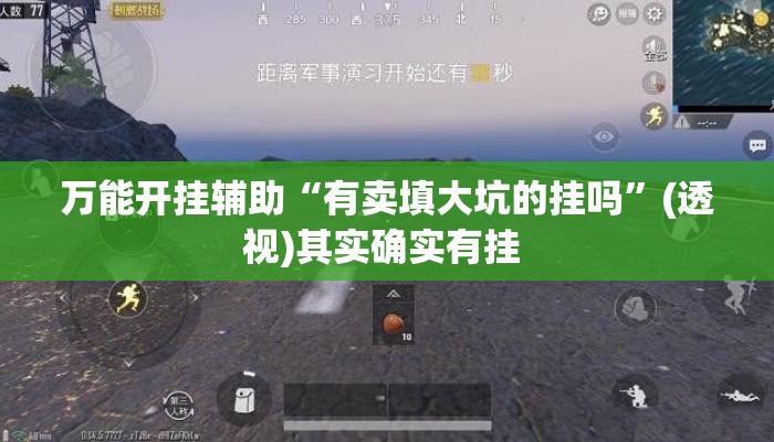 万能开挂辅助“有卖填大坑的挂吗”(透视)其实确实有挂 