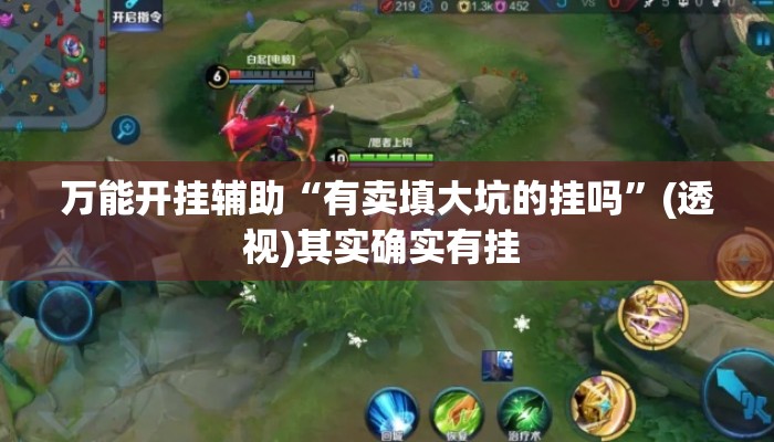 万能开挂辅助“有卖填大坑的挂吗”(透视)其实确实有挂 