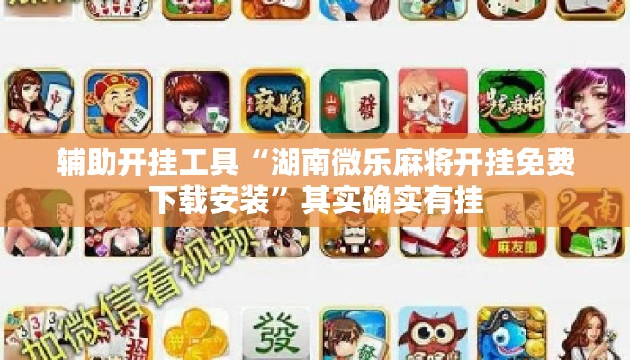 辅助开挂工具“湖南微乐麻将开挂免费下载安装	”其实确实有挂