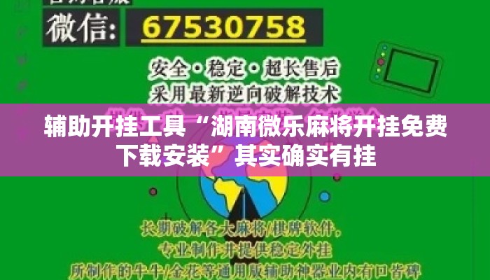 辅助开挂工具“湖南微乐麻将开挂免费下载安装”其实确实有挂