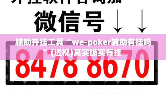 辅助开挂工具“we-poker辅助有挂吗”(透视)其实确实有挂 