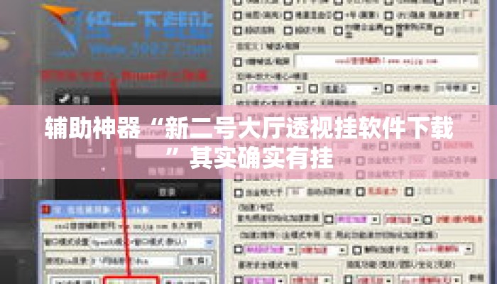 辅助神器“新二号大厅透视挂软件下载”其实确实有挂