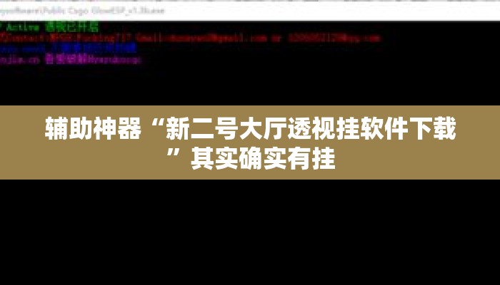 辅助神器“新二号大厅透视挂软件下载”其实确实有挂