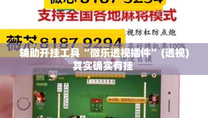 辅助开挂工具“微乐透视插件	”(透视)其实确实有挂 