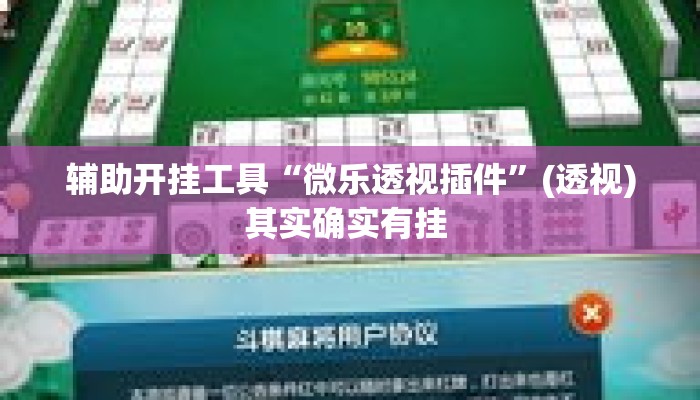 辅助开挂工具“微乐透视插件”(透视)其实确实有挂 