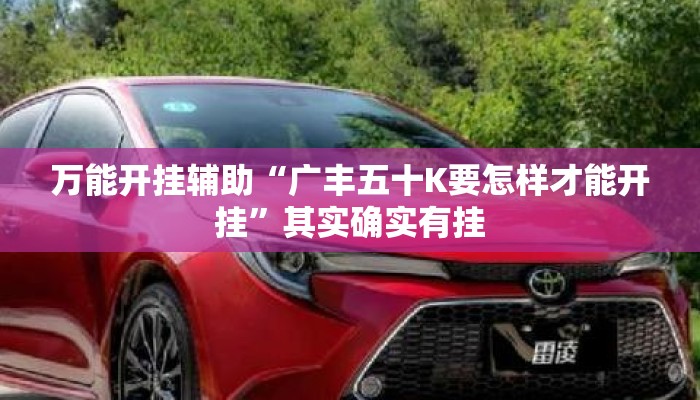 万能开挂辅助“广丰五十K要怎样才能开挂”其实确实有挂