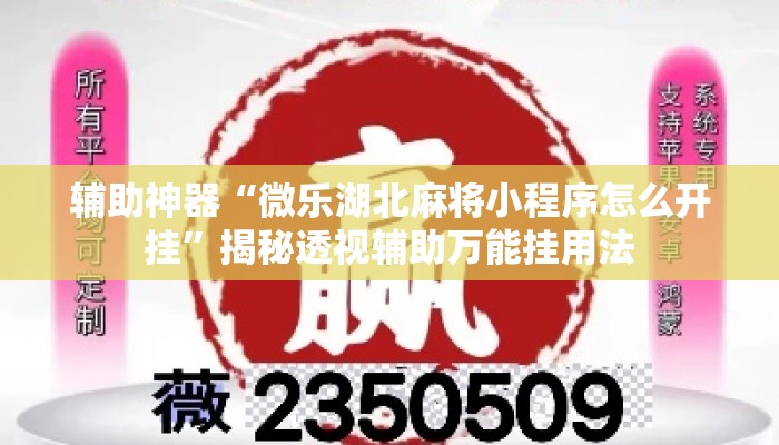辅助神器“微乐湖北麻将小程序怎么开挂”揭秘透视辅助万能挂用法