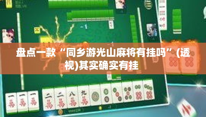 盘点一款“同乡游光山麻将有挂吗”(透视)其实确实有挂 