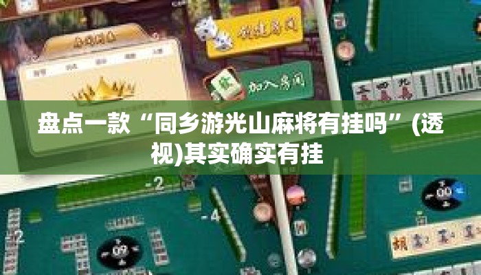 盘点一款“同乡游光山麻将有挂吗”(透视)其实确实有挂 