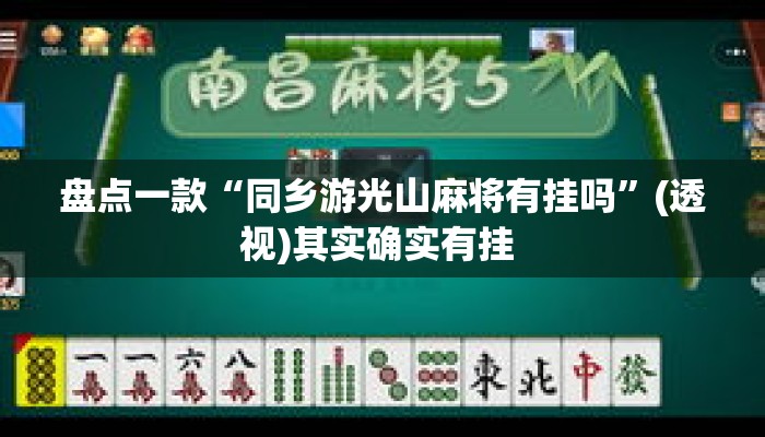 盘点一款“同乡游光山麻将有挂吗”(透视)其实确实有挂 