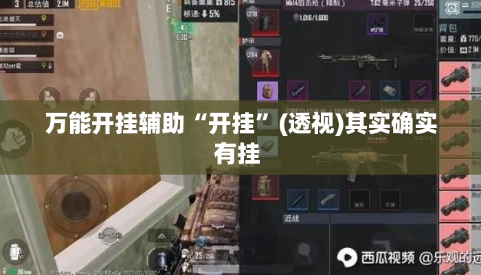 万能开挂辅助“开挂	”(透视)其实确实有挂 