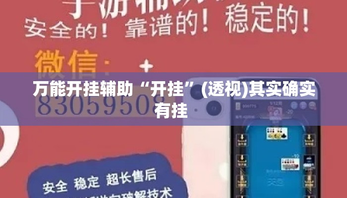 万能开挂辅助“开挂”(透视)其实确实有挂 