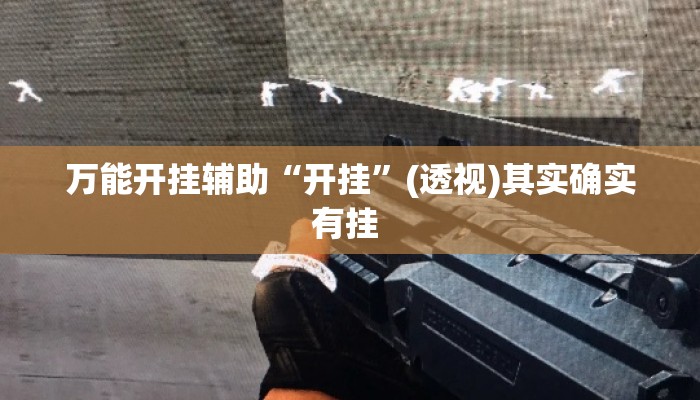万能开挂辅助“开挂”(透视)其实确实有挂 