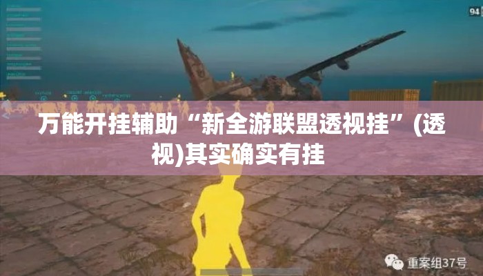 万能开挂辅助“新全游联盟透视挂	”(透视)其实确实有挂 