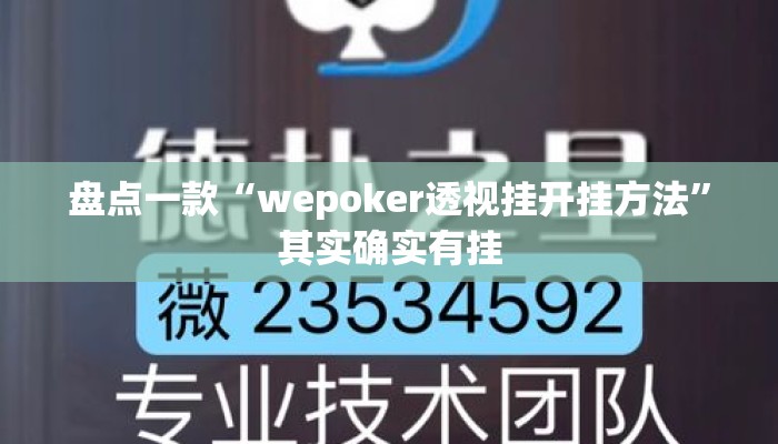 盘点一款“wepoker透视挂开挂方法”其实确实有挂