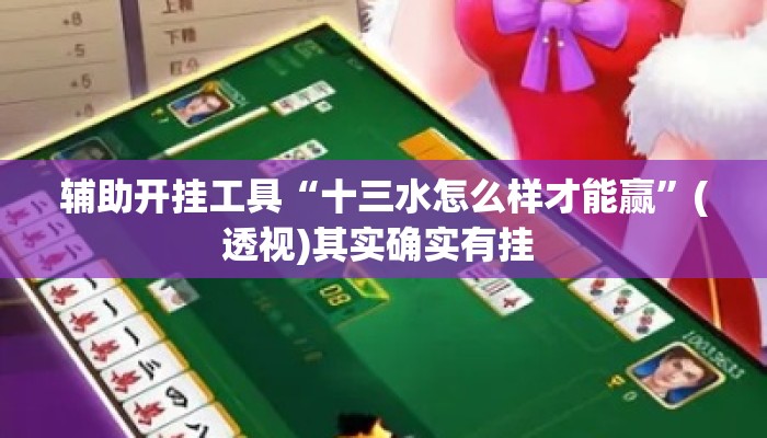 辅助开挂工具“十三水怎么样才能赢	”(透视)其实确实有挂 