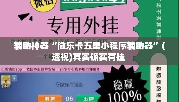 辅助神器“微乐卡五星小程序辅助器”(透视)其实确实有挂 