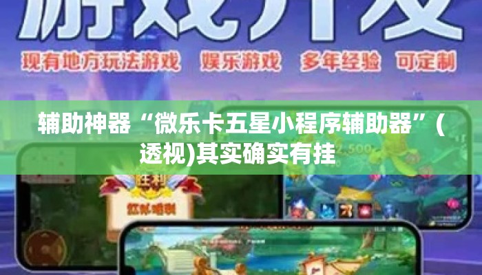 辅助神器“微乐卡五星小程序辅助器	”(透视)其实确实有挂 